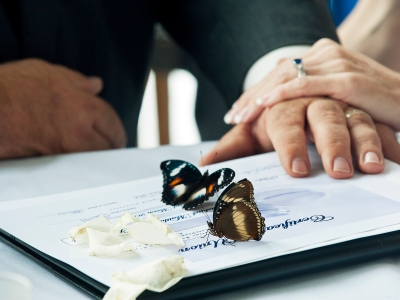 wedding-butterflies
